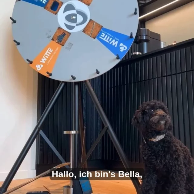 ? Tag der offenen Tür am 6. & 7. März! Wir öffnen unsere Türen – und ihr dreht am Glücksrad! ?✨ Bella, unsere Feelgood...